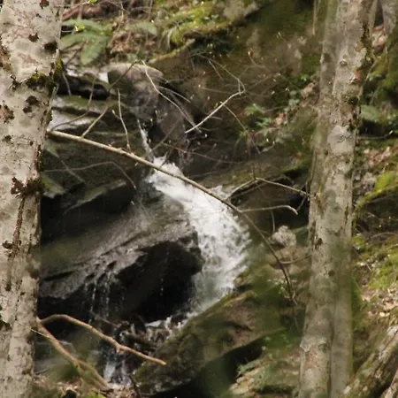 Dei Baroni - Antica Dimora * Camaldoli
